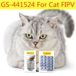 buy GS-441524 for cat fip 24h online
